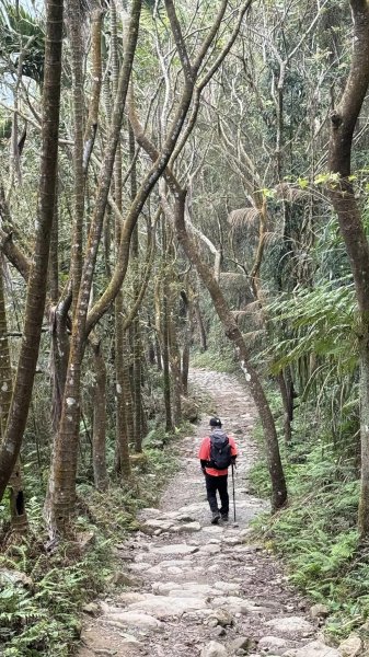 20240207小百岳台南大凍山2424496