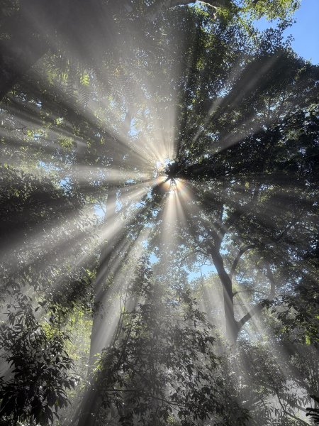 馬那邦山登山步道2925134