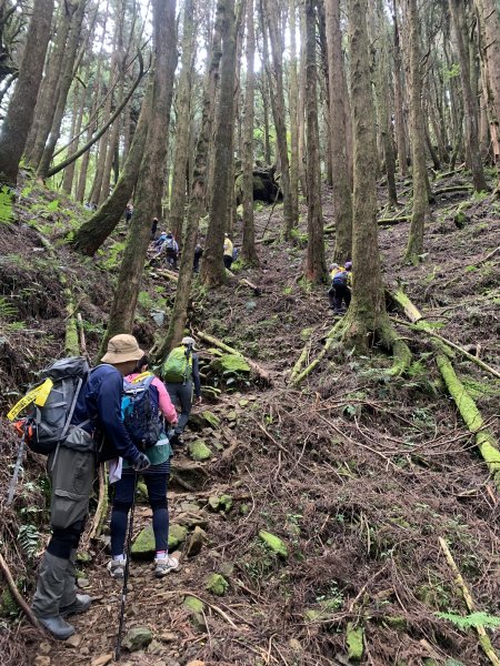 20250517義義兒玉山-東水山2791647