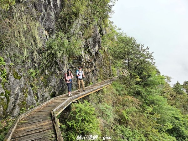 【南投信義】排雲山莊 x#15百岳_玉山西峰3111625