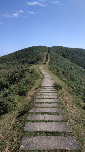 桃源谷+草嶺古道730520