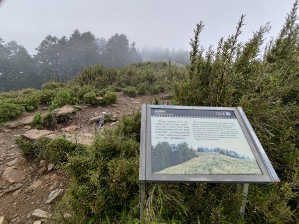 志佳陽大山登山步道2520064