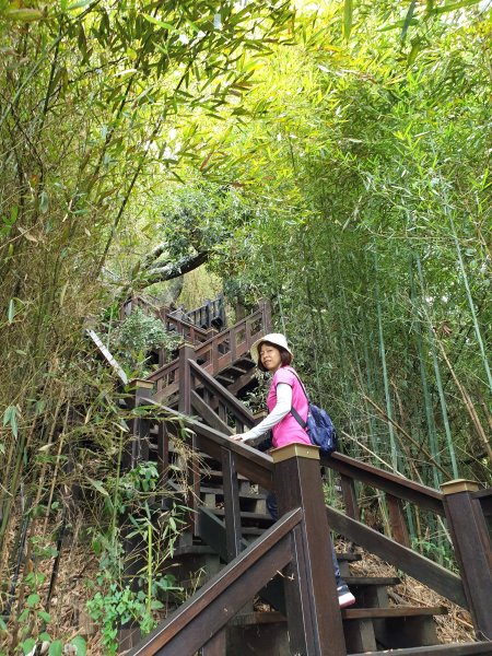 后里鳳凰山、觀音山步道202009131102909