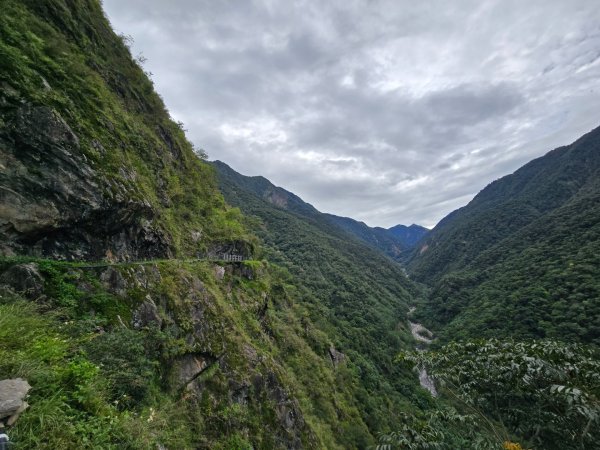 觀高山屋／龍貓公車／八通關山／八通關山西峰2927374