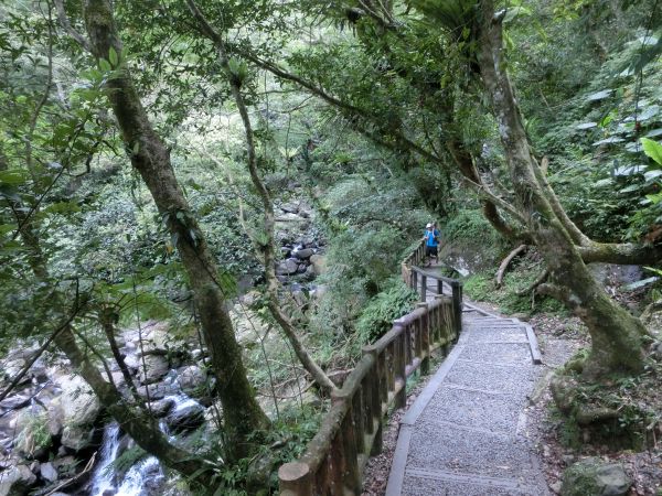 滿月圓森林步道147500