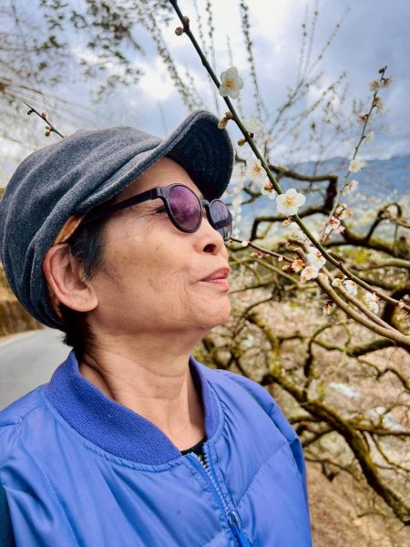 🌈1/17（六）蔡家古厝賞梅×梅子夢工廠×車埕老街✨FB：熊熊趴爬走🌈2983941