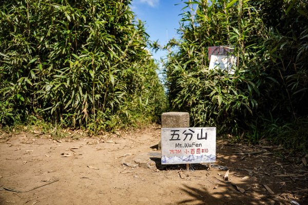 五分山｜小百岳2915461