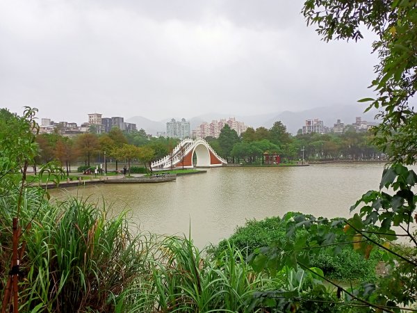 大湖公園 (防災公園) - “就是愛尋寶”【走路趣尋寶，全臺齊步走】1883406