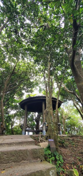 2024-06-15觀音山【福隆山、尖山(占山)登山步道】O走2528238