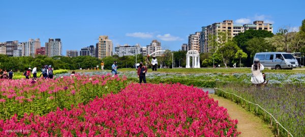 首訪 #古亭河濱公園 #花海 3/153015681