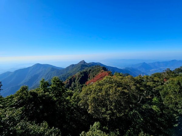 稍來山賞楓2962573