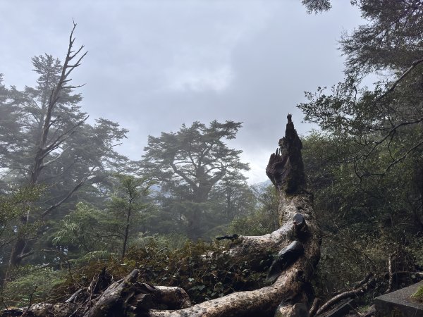 20250110 庫哈諾辛山(進涇橋登山口)2686256