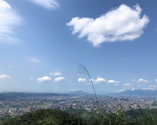 台灣小百岳No.018天上山連走五城山1347041