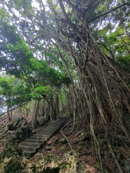 2024.06.09－墾丁國家公園2523861