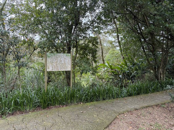 [微笑山線_第四段] 2026_0321 天上山系_石門內尖山東峰3021313