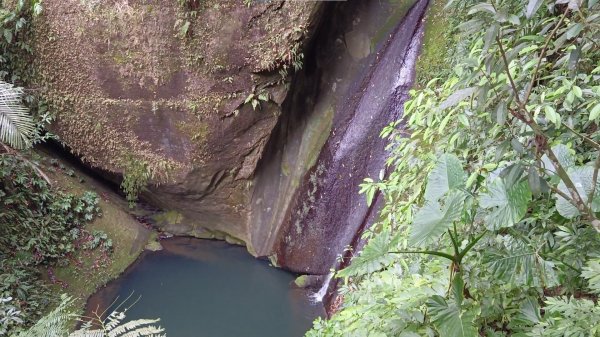 (姨婆趴趴走)第二集:桃園金牌縱走，攀登金平山、金平山南峰、牌子山，順道造訪三民蝙蝠洞2105046