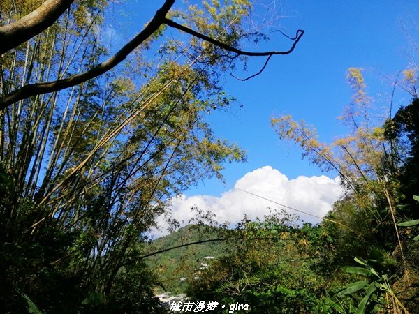 台中~原始悠靜山林~太平淨德寺後山步道1300298