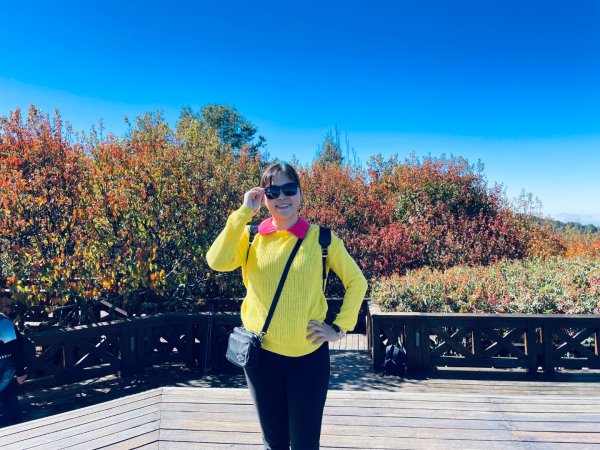 20251209 阿里山-小笠原觀景平台、祝山觀日步道2959800