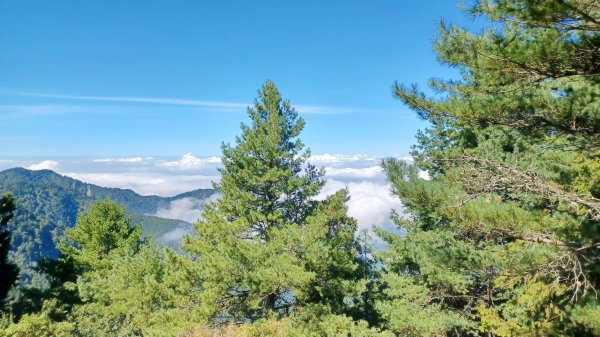 【台中和平】雪山神木步道x小雪山天池步道2933110