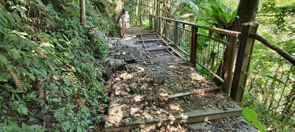 2026/05/31_白蘭溪古道O型3066881