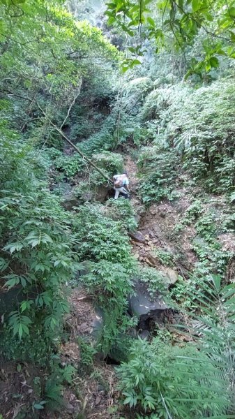 蛇來運轉之蛇年爬蛇山  蛇子形古道-三爪子坑山-蛇子崙山O型2784018