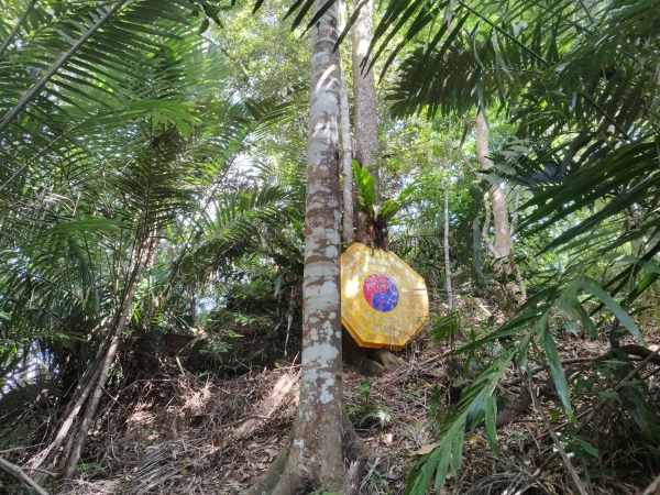 [新竹五峰][一]扇子排山、扇子排山西北峰、鬼澤山西、鬼澤山、梅山、隘口