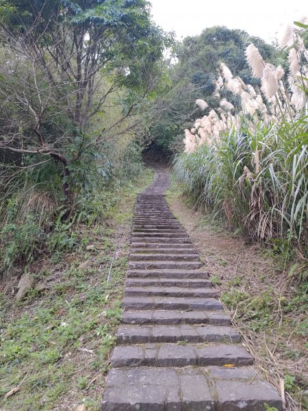 新竹橫山大崎棟古道1265354