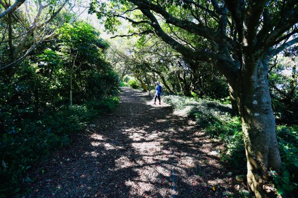 牛港稜山、觀音山，下 八里渡船頭1086794