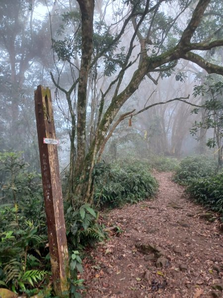 【台南白河】雞籠山+九龍山+大凍山O繞縱走2797150