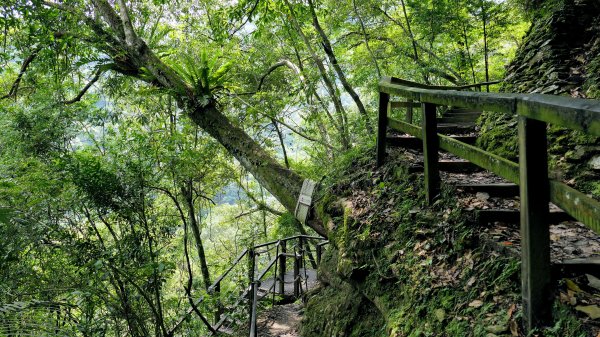 福山部落,內洞森遊區2552460