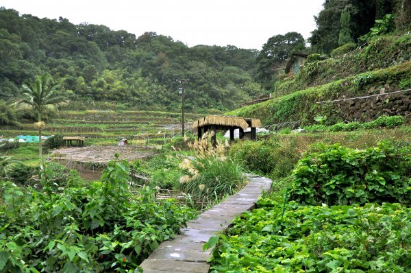 【新聞】打造湖山新風貌，湖底聚落彩妝迎新春