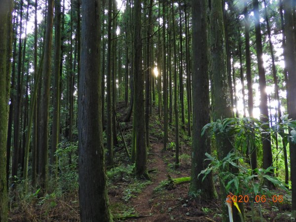 新竹 五峰 鳥嘴山、鵝公髻山986657