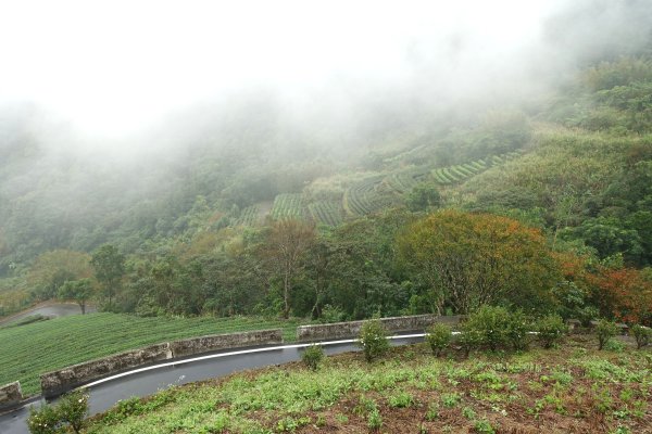 南山寺觀景台3086082