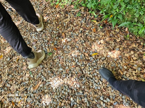 望古瀑布~嶺腳瀑布+深坑美食.阿柔洋.貓空2858423