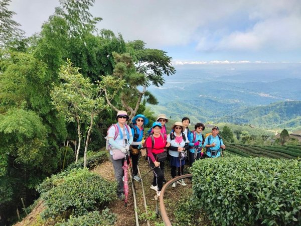 羊彎上武岫大崙山茶園尋山頭2824928
