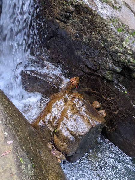 【屏東-小百岳】三大郊山 里龍山O走1025763