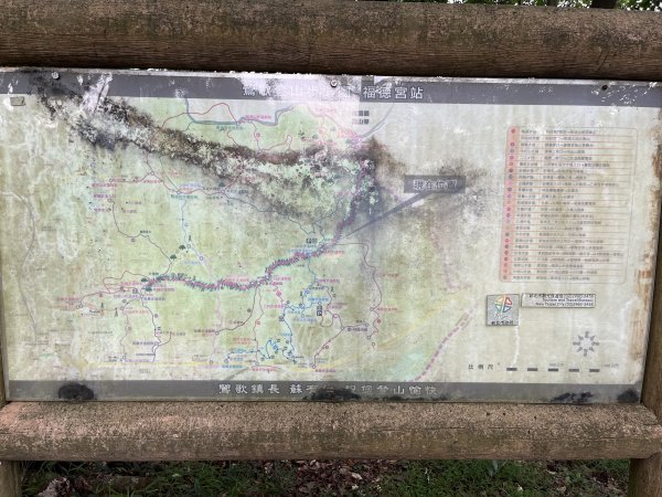 [微笑山線_第二段] 2025_0720 大棟山系_百年大榕樹2843328