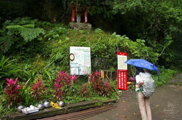 【聖母山莊】探訪恐龍林478191