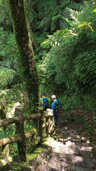 【小百岳集起來】#017 二格山→猴山岳→草湳1692016