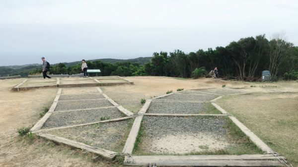 社頂自然公園步道268887