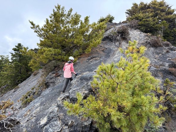 大眾運輸登 雪山西稜 (中雪山未竟) 2025/12/3~92970034