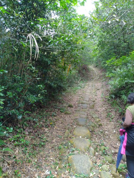 三義 挑炭古道(三通嶺古道)封面