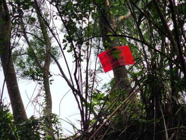 20241215富浪波山鹹菜棚街與打牛崎步道2691619