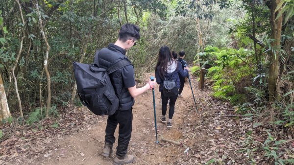 馬那邦山步道(珠湖登山口上)1585900
