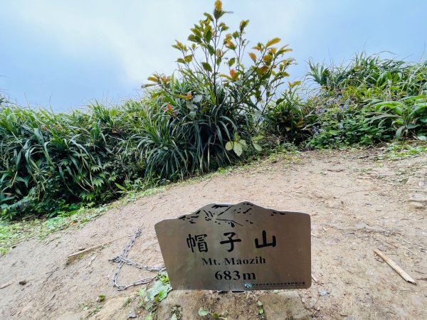 1150124帽子山。25落山風藝術季。2987171