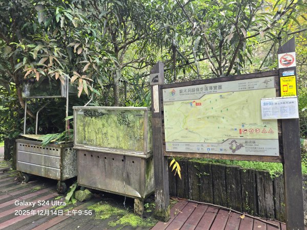 2025-12-14微笑山線：【二格山系】銀河洞越嶺段2962121