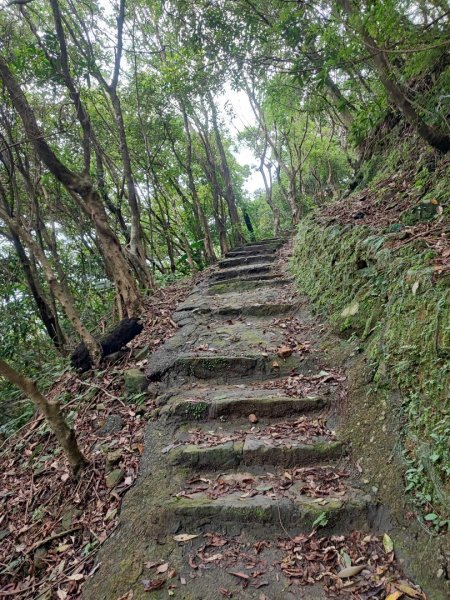 淡蘭北路第一段：瑞芳車站至慶雲宮2519799