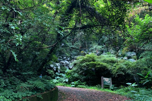 新竹尖石｜水田林道｜壯闊飛瀑秘境．鴛鴦谷瀑布群1574119