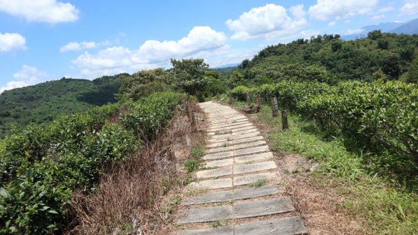澀水森林步道登山健行趣(步道)2259798