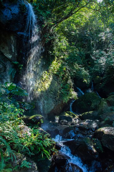 馬武督探索森林2930691